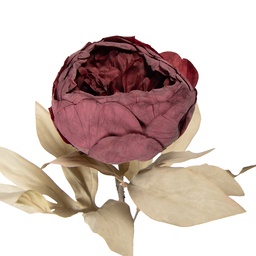 [5PL0266R] Fleur artificielle Rouge Vert 11x11x62 cm