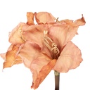 Artificial Flower Orange Brown 16x16x65 cm