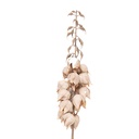 Decorative Artificial Branch with flowers Beige Brown 12x12x100 cm