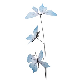 [50857] Decoratie tak met vlinders 10x10x65 cm