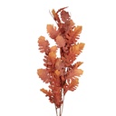 Branche de décoration Orange Marron 10x15x108 cm