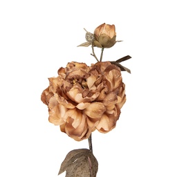 [5PL0243BE] Branche de décoration avec fleurs Brun Vert 14x17x73 cm