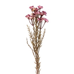 [5PL0290P] Deko Ast mit Blumen Rosa 77 cm