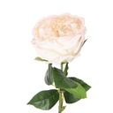 Fiori Finti Rose Bianco Verde 9x9x43 cm