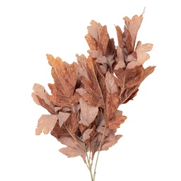 [5PL0253CH] Decoratie tak 15x22x104 cm