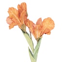 Branche de décoration avec fleurs Orange Vert 10x18x85 cm
