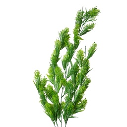 [5PL0090] Branche de décoration Vert 8x8x75 cm