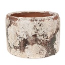 Pot de fleurs d`intérieur Beige Vert Ø 18x11 cm