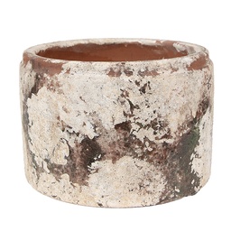 [6TE0539L] Blumentopf für Innen Beige Grün Ø 18x11 cm