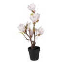 Decorative Magnolia tree White Pink 12x12x40 cm