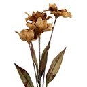 Branche de décoration avec fleurs Marron Vert 8x5x60 cm