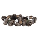 Tealight Holder Brown 27x11x6 cm