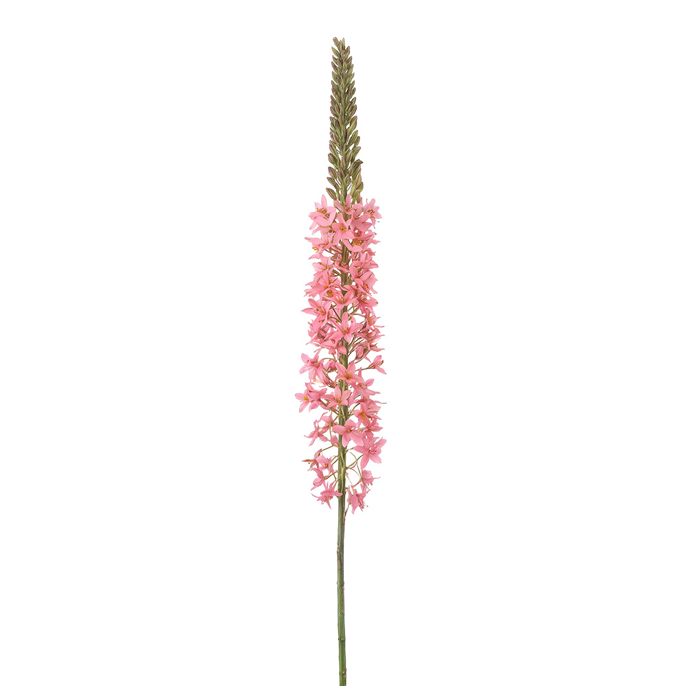 Decoratie tak met bloemen