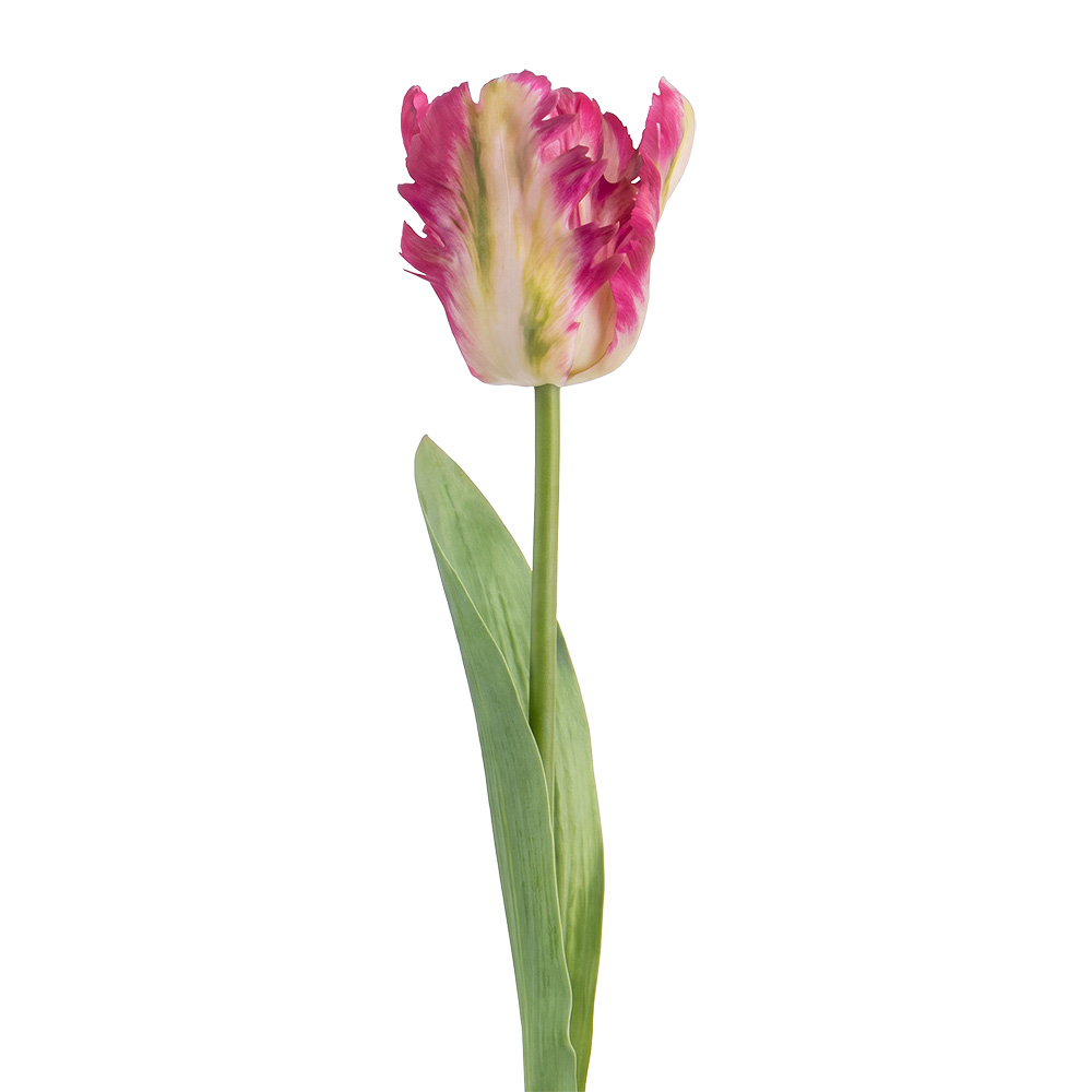 Rami Artificiali Decorativi con fiori Rosa Verde 61 cm