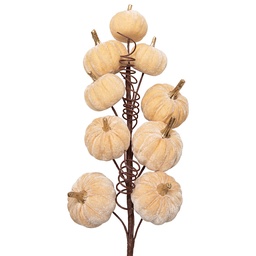 [66818BE] Deko Kürbis Beige 6x4x56 cm