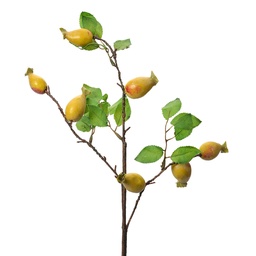 [6PL0390Y] Decorative Artificial Branch Yellow Green 10x8x50 cm
