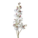 Decorative Artificial Branch with flowers White Green 15x8x116 cm