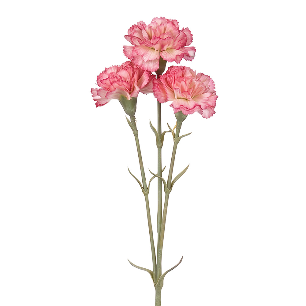 Branche décorative avec fleurs Rose Vert