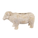 Vaso Porta Pianta Beige Marrone 48x19x26 cm