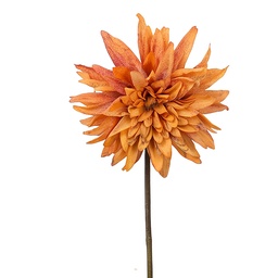 [6PL0439O] Decoratie tak met bloemen 50 cm