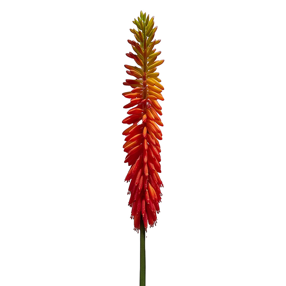 Decorative branch with flowers Orange Green 86 cm