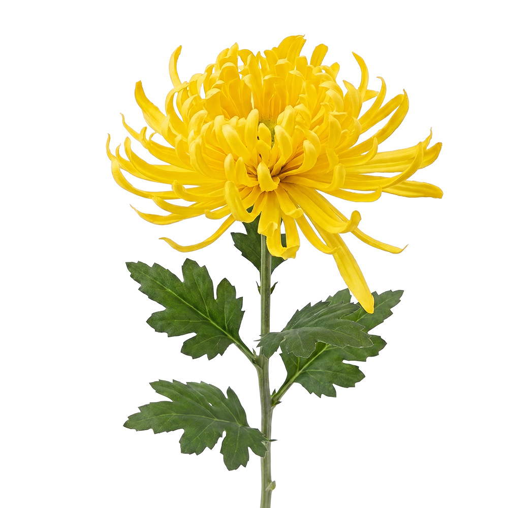 Decoratie tak met bloemen 76 cm