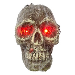 [66935] Decoratie schedel 23x25x33 cm
