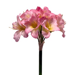 [5PL0327P] Decoratie tak met bloemen 87 cm