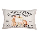 Housse de coussin Beige Orange 30x50 cm