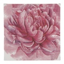 Paper napkins Pink White 33x33 cm (20)