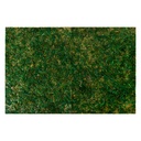 Moss Mat Green 60x40x1 cm