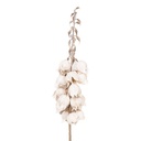 Decorative Artificial Branch with flowers White Brown 12x12x100 cm