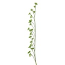 Decoratie tak 130 cm