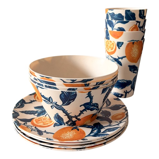 Servies setje picknick (12)