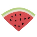 Sponge Red Green 16x3x11 cm