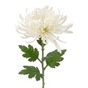 Dekorativer Zweig mit Blumen Weiß Grün 76 cm