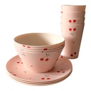 Servies setje picknick (12)