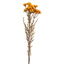 Rami Artificiali Decorativi con fiori Giallo 77 cm