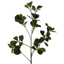 Deko Ast Grün 95 cm