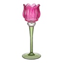 Porte-lampion en verre Rose Vert Ø 7x22 cm