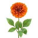 Deko Ast mit Blumen Orange Grün 65 cm