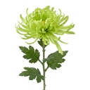 Branche décorative avec fleurs Vert 76 cm