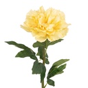 Branche de décoration avec fleurs Beige Vert 58 cm