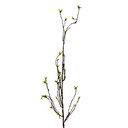 Rami Artificiali Decorativi Verde Marrone 8x5x116 cm