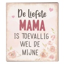 Textschild Beige 13x1x15 cm