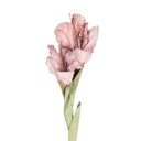 Rami Artificiali Decorativi con fiori Rosa Verde 10x18x85 cm