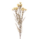 Deko Ast mit Blumen Weiß 77 cm