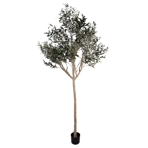 Clayre & Eef Olivier artificiel 240 cm Vert Plastique