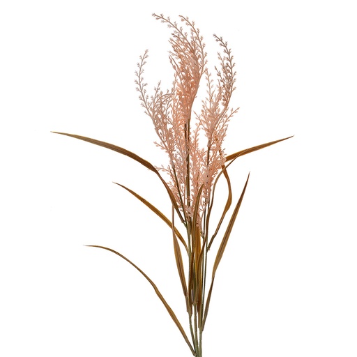 Deko Ast Beige 4x4x88 cm