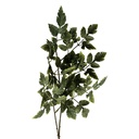Decoratie tak 50 cm